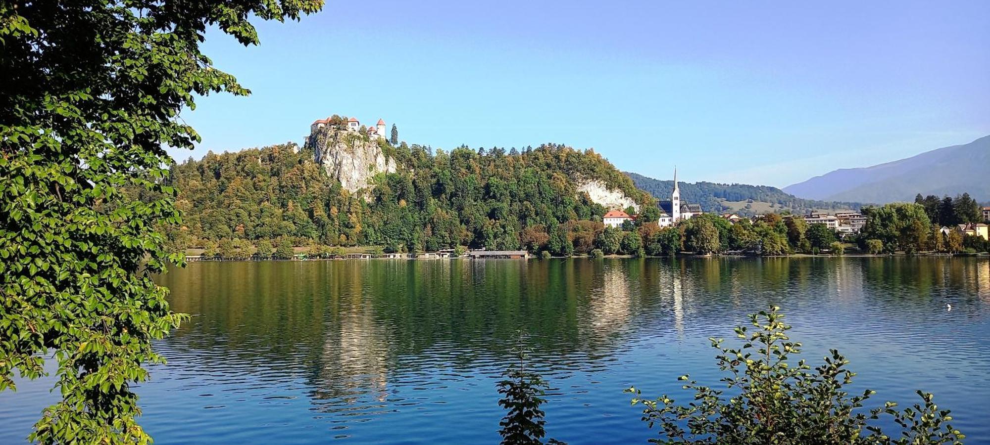 Ding Ding Apartment Unteraichwald Екстериор снимка